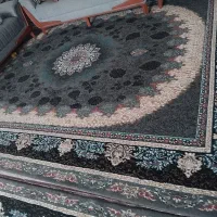 قالی ۱۲ متری|فرش|جیرفت, |دیوار