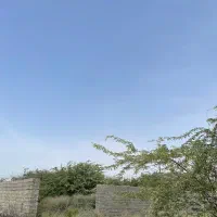 معاوضه زمین  با نیسان