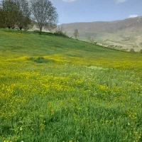 زمین-ساخت-و-ساز
