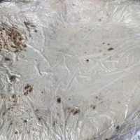 نیازمند نیروی خانم