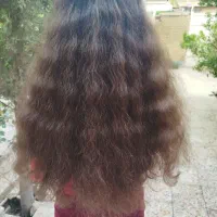 فروش مو طبیعی خرمایی