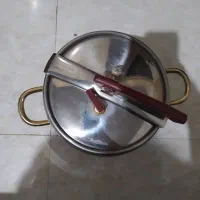 زودپزالمانی اصلی