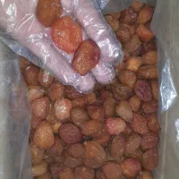 فروش ب صورت کیلویی وعمده|خوردنی و آشامیدنی|قم, عمار یاسر|دیوار