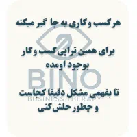تراپی کسب و کار بینو