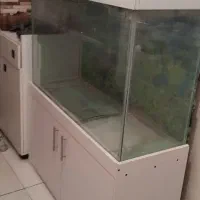 اکواریوم کمد دار|ماهی|کرج, شاهینویلا|دیوار