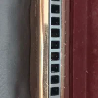 ساز دهنی هرینگ|سازهای بادی|مشهد, قائم|دیوار