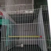 سلام چند عدد قفس یدونش گرد و بقیه ساده|لوازم جانبی حیوانات|نیشابور, بنیاد شهید|دیوار