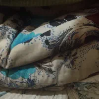 سلام دو دست تشک و بالش باهم یک تومن
