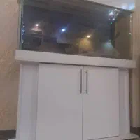 آکواریوم کمدی