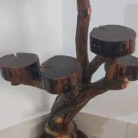 درخچه