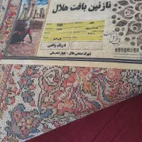 دوعدد فرش ۱۲متری دست دو درحده.سفر|فرش|نقده, |دیوار