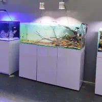 سرویس اکواریوم