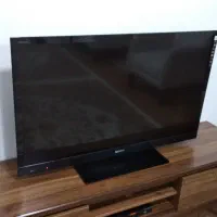 تلفزیون|تلویزیون و پروژکتور|مریوان, |دیوار