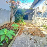 ویلا با سند تک برگ نزدیک به ساحل