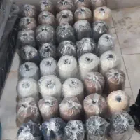 خرج کار شلوار پارچه ای