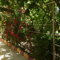 فروش-فوری-باغ-ویلا-در-شهریار