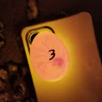 تنظیم دماوآداپتور دستگاه جوجه کشی|فروشگاه و مغازه|دورود, |دیوار