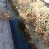 40 هکتار زمین سنددار  با 10ساعت آب  گردش هشت روزه|فروش زمین و ملک کلنگی|زاویه, |دیوار