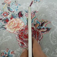 گوشی سامسونگ A06 ۶۴ فروشی و معاوضه|موبایل|همدان, |دیوار