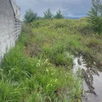 فروش زمین در متل قو مازندران