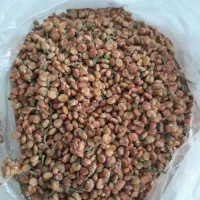 سماق کوهی تازه