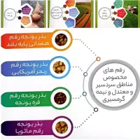 تخمه بذر یونجه سرد و گرم