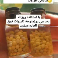 تولید و فروش خاویار حلزون|خزنده|قروه, |دیوار