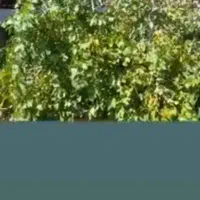 خانه ویلایی مهدیشهر