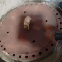 تنور 4نونه|اجاق گاز و لوازم برقی پخت‌وپز|شوش, |دیوار