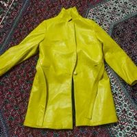 پالتو سالم هست|لباس|بهار, |دیوار