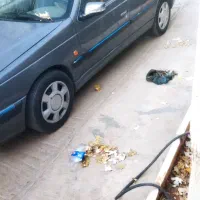 پارس مدل ۸۹ سفارشی معاوضه دارم