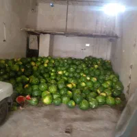 بار عمده میوه هندوانه دارم 10تن