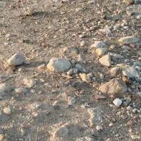 فروش زمین 240متر چرام