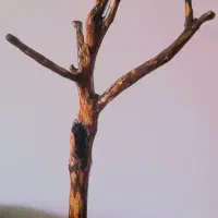 چوب لباسی ایستاده دکوری