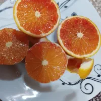 پرتقال خونی(تو سرخ)