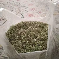 ماست خیکی آنخ شیره توت|خوردنی و آشامیدنی|مشهد, امیریه|دیوار