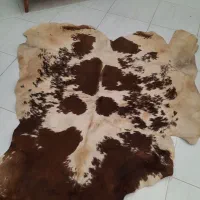 پوست گاو