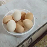 تخم مرغ محلی