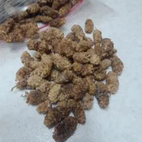 توت خشک دیم