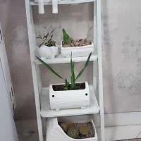 شلف و گل و گلدان