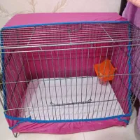 وسایل خرگوش