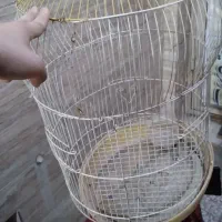 انواع قفس طوطی گندم