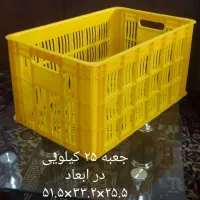 تولید سبد میوه|ظروف نگهدارنده، پلاستیکی، یک‌بارمصرف|ممقان, |دیوار