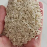 برنج چمپه
