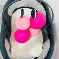 تخت بچه|تخت و صندلی بچه|رشت, نخودچر|دیوار