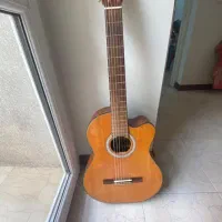 گیتار پائوچیا