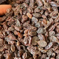 پخش عمده مویز و کشمش(احمدی)|عمده‌فروشی|شیراز, شهرک گلستان|دیوار