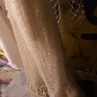 سالی در حد نو قیمت مناسب