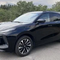 لاماری خشک و کارکرده