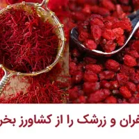 زرشک و زعفران قاینات